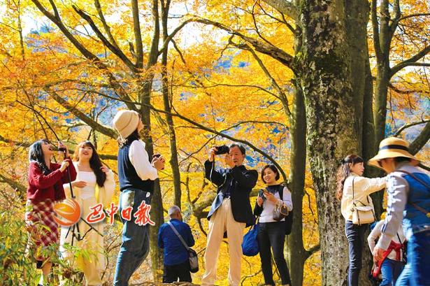 夢境紅毯